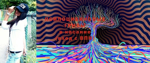 PSILOCYBIN Баксан